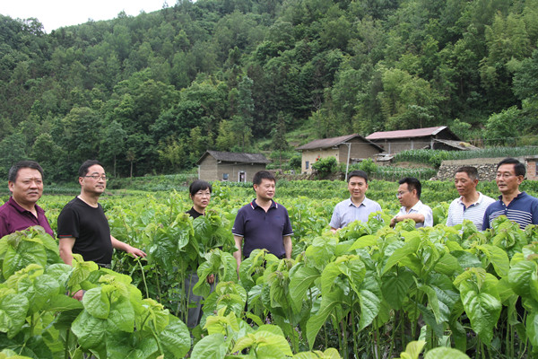 安康市商務(wù)局領(lǐng)導(dǎo)來(lái)我公司調(diào)研春蠶收購(gòu)及扶貧點(diǎn)蠶?；亟ㄔO(shè)情況